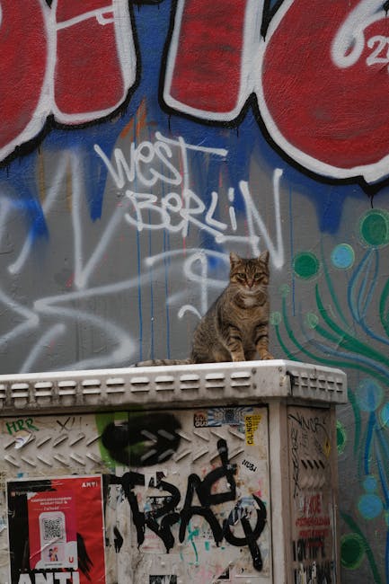Graffiti and art on remaining Berlin Wall sections