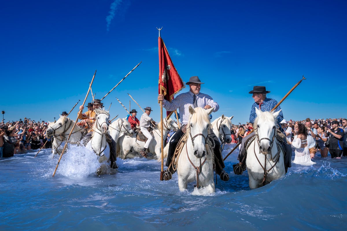 Camargue horse riders leading festival procession through waters