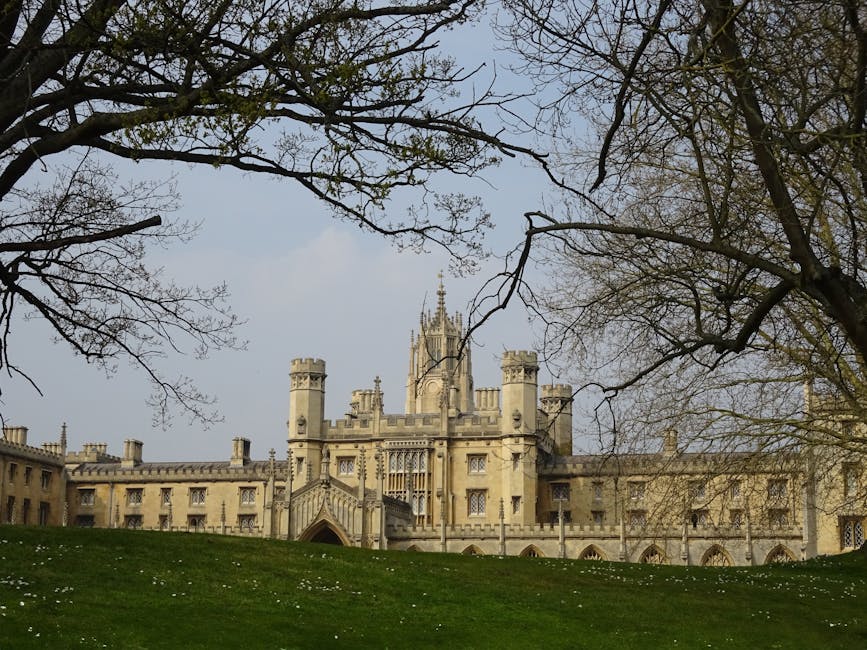 Cambridge college framed by trees