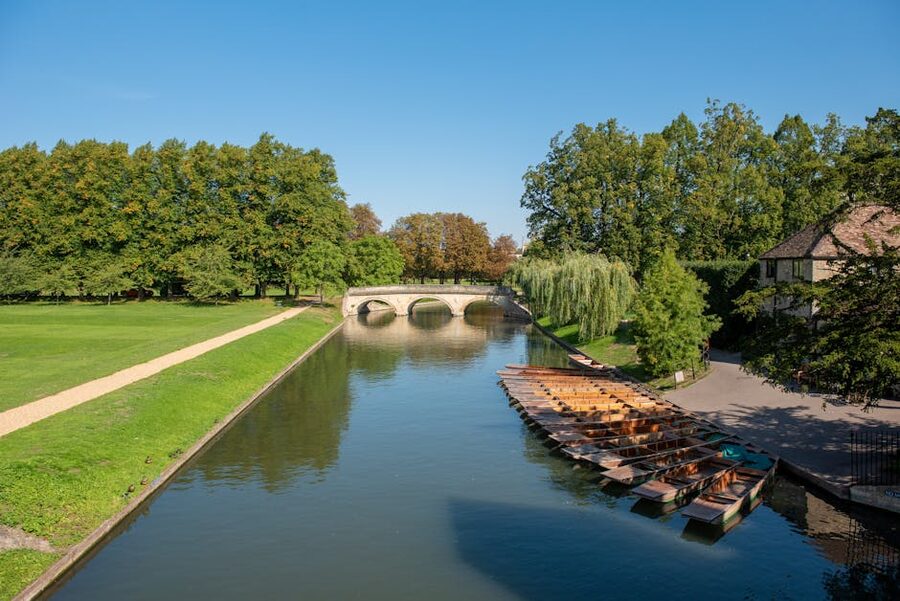 Summer punting scene River Cam Cambridge