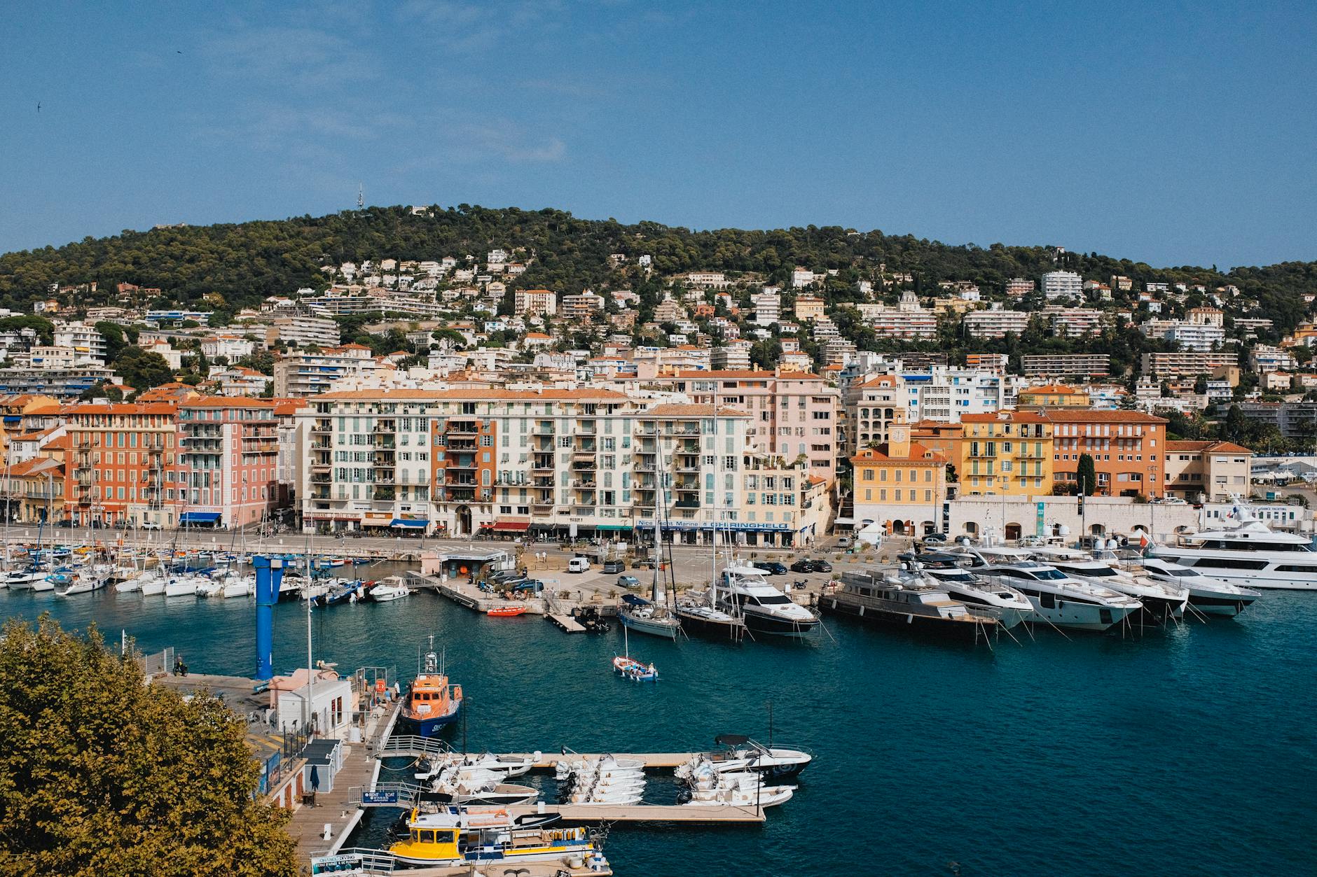 Cannes Old Port with moored boats and palm trees on a clear day