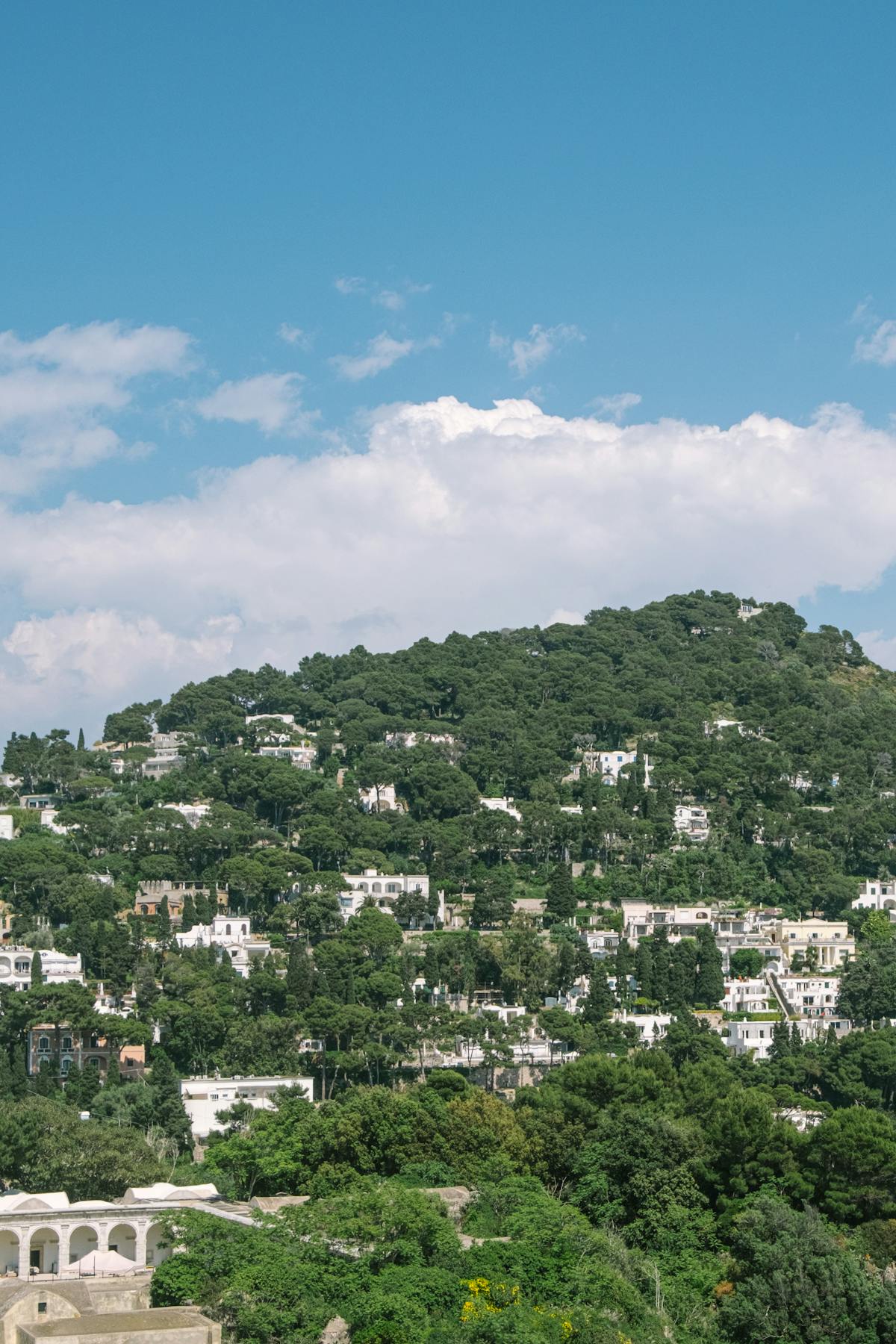 White houses dotting the lush green hills of Capri island under a bright blue sky