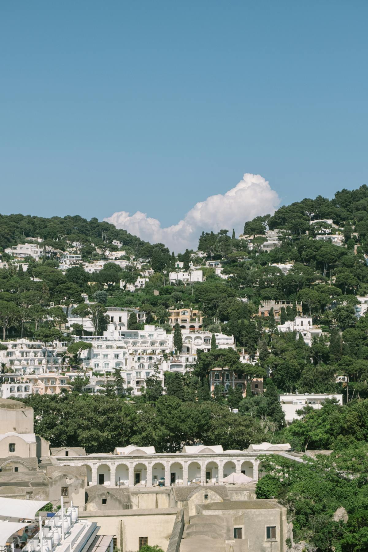 White buildings nestled among greenery on a hillside in Capri Italy
