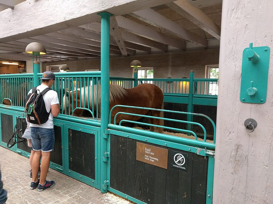 Jutlandic draught horses at the Carlsberg brewery