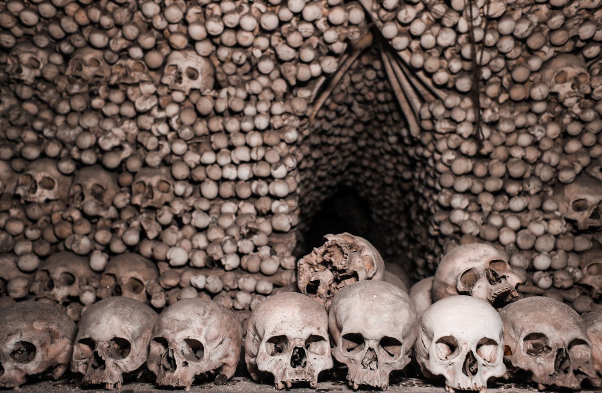 A wall of stacked skulls creating a chilling display in a catacomb passage