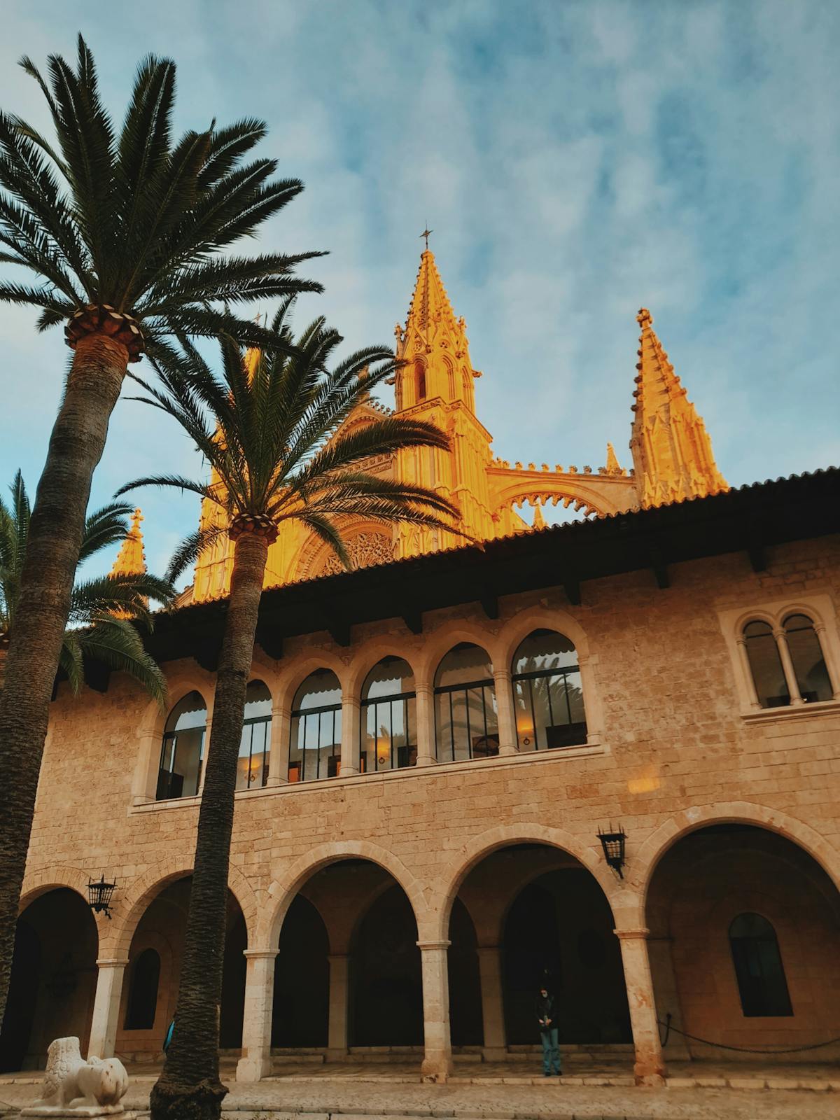 Dramatic view of Palma Cathedral and palm trees silhouetted against a sunset sky in Mallorca Spain