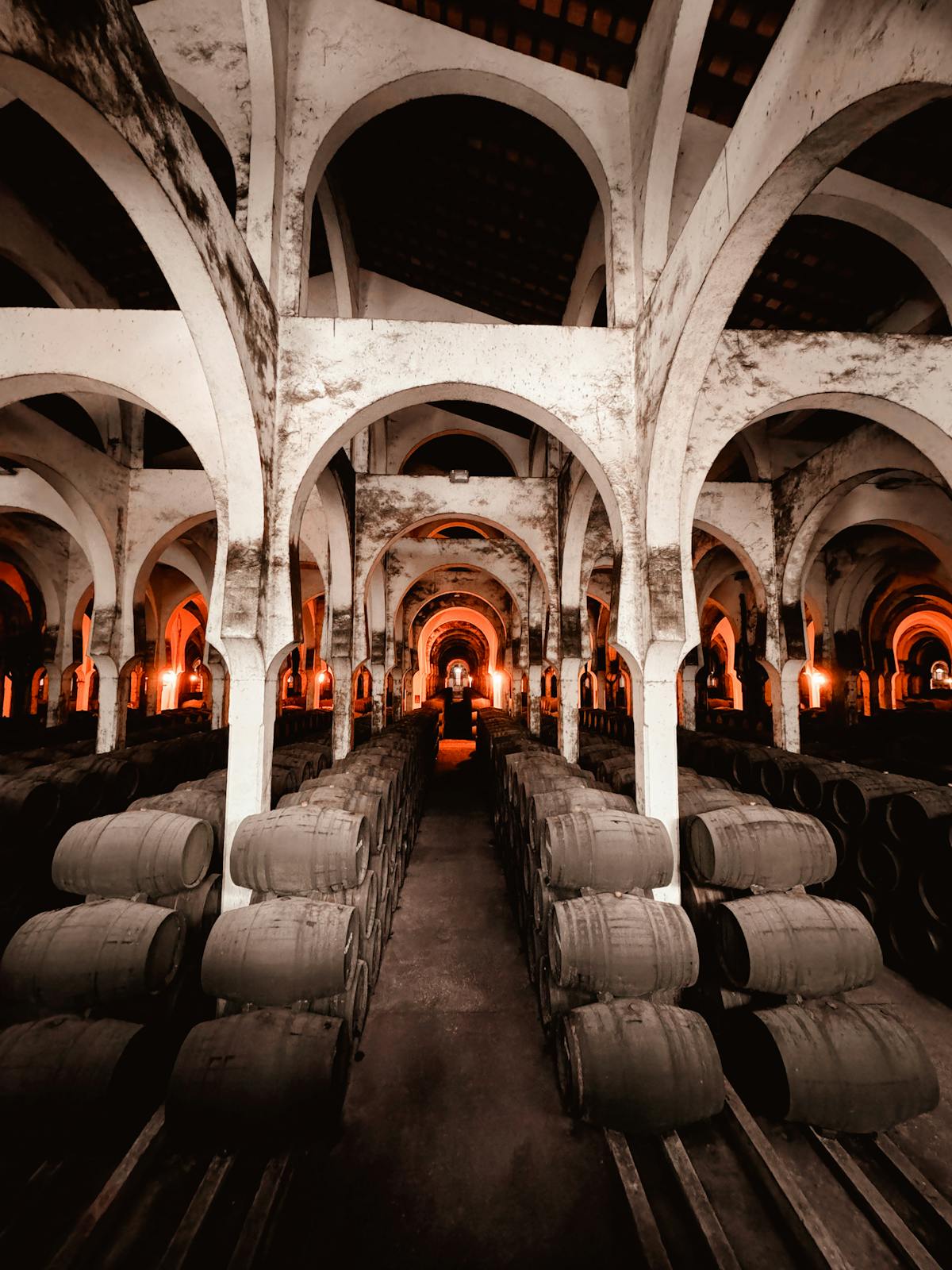 Aged wine barrels line a historic arched cellar under warm light
