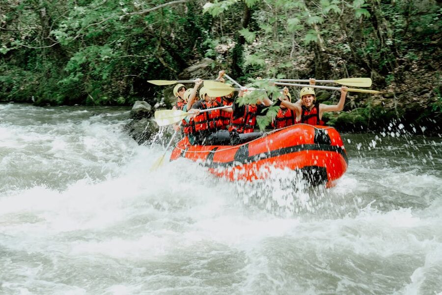Whitewater rafting through forested rapids