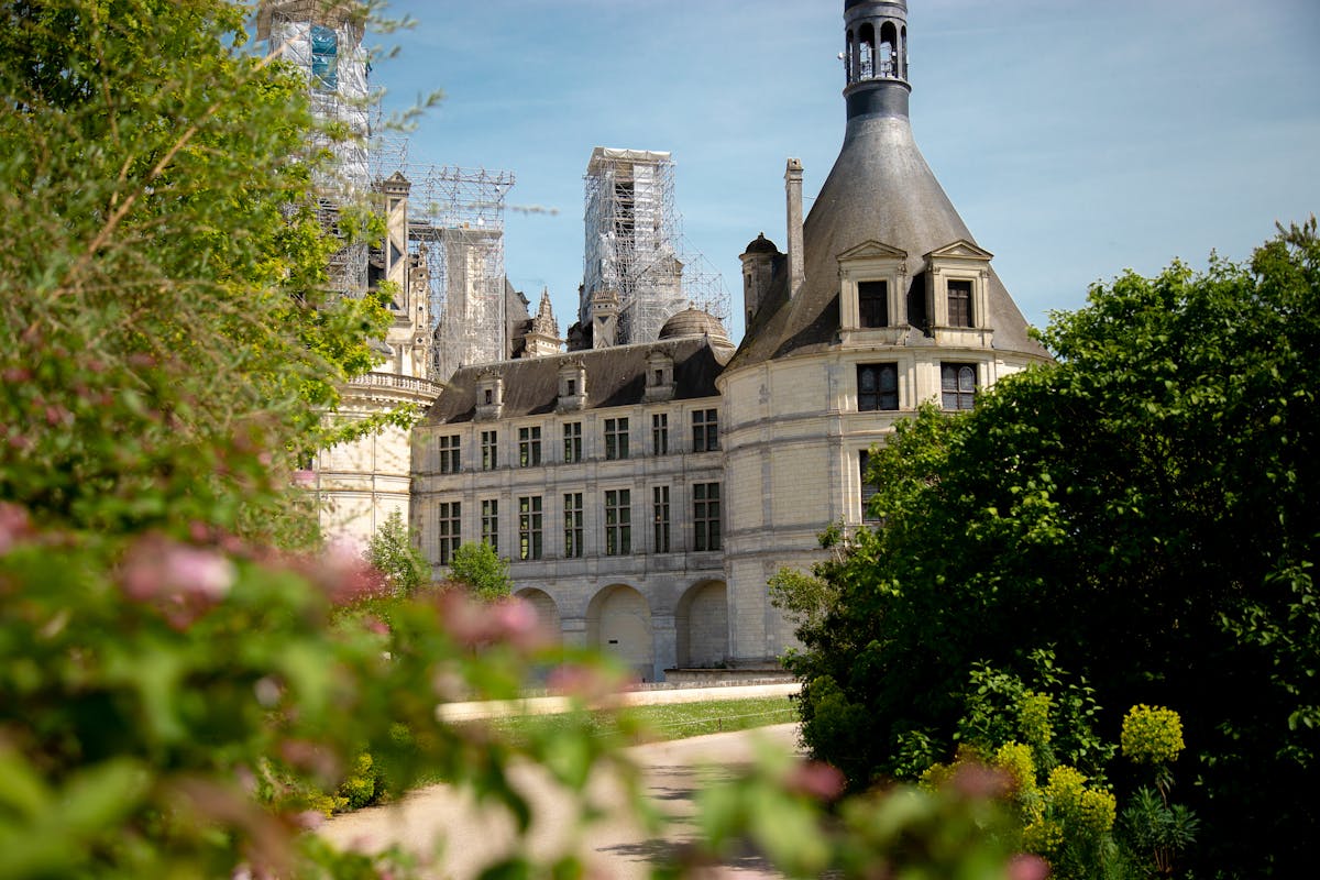 Chateau de Chambord surrounded by lush greenery on a sunny day