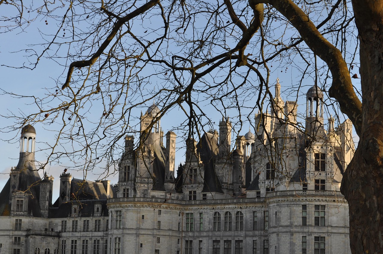 Rooftop view of Chateau de Chambord showing ornamental towers and chimneys