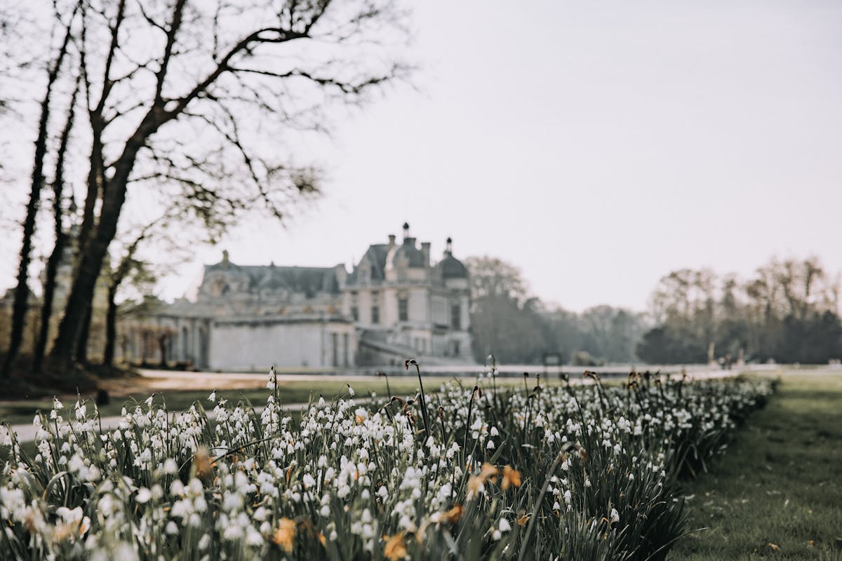 Chateau de Chantilly with blooming flowers in springtime
