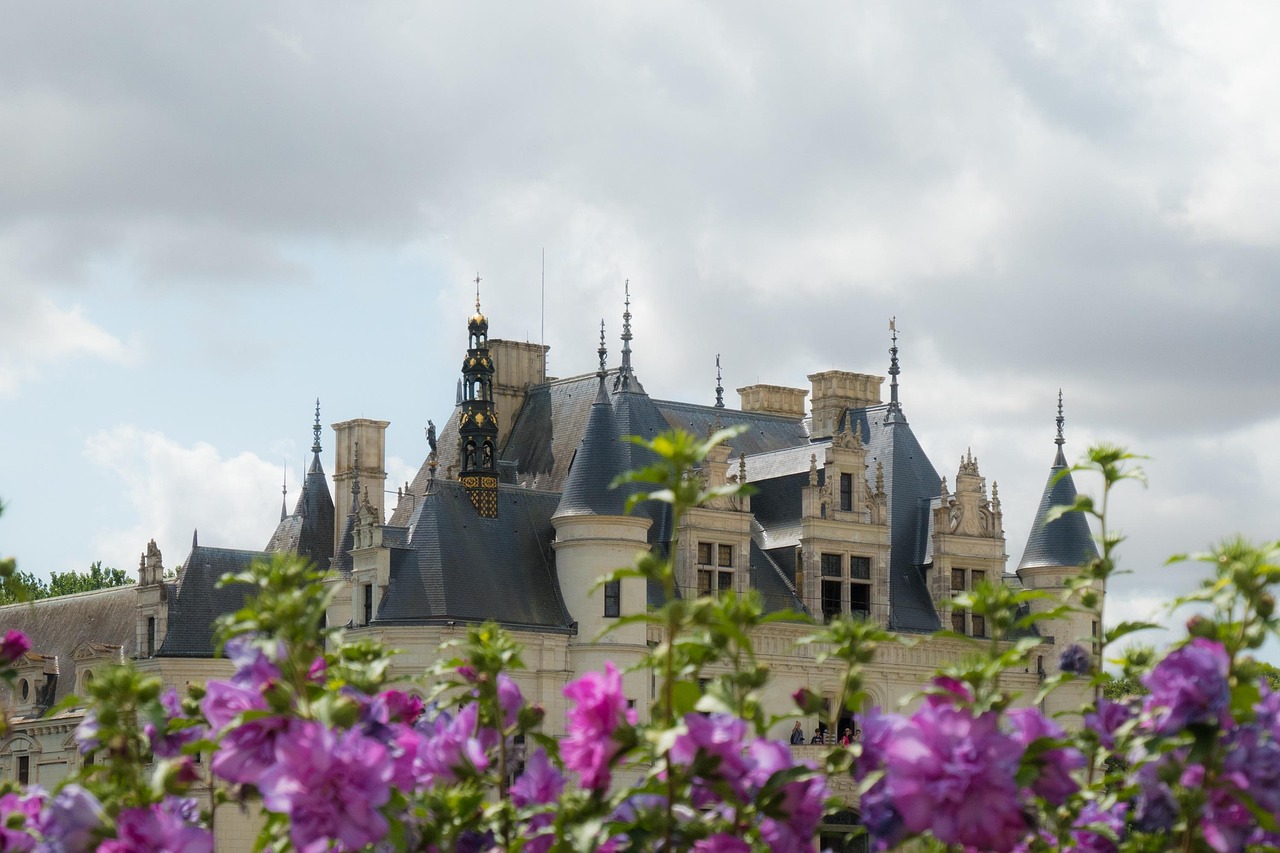 Chenonceau castle seen through trees with a fairytale quality