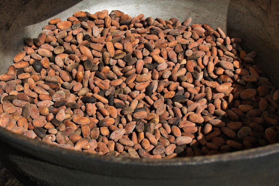 Roasted cocoa beans pile