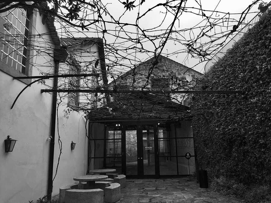 Cockburn's cooperage workshop where coopers assemble port wine barrels