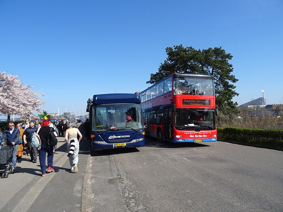 Red City Buses and Royal City Sightseeing buses on Langelinie Copenhagen
