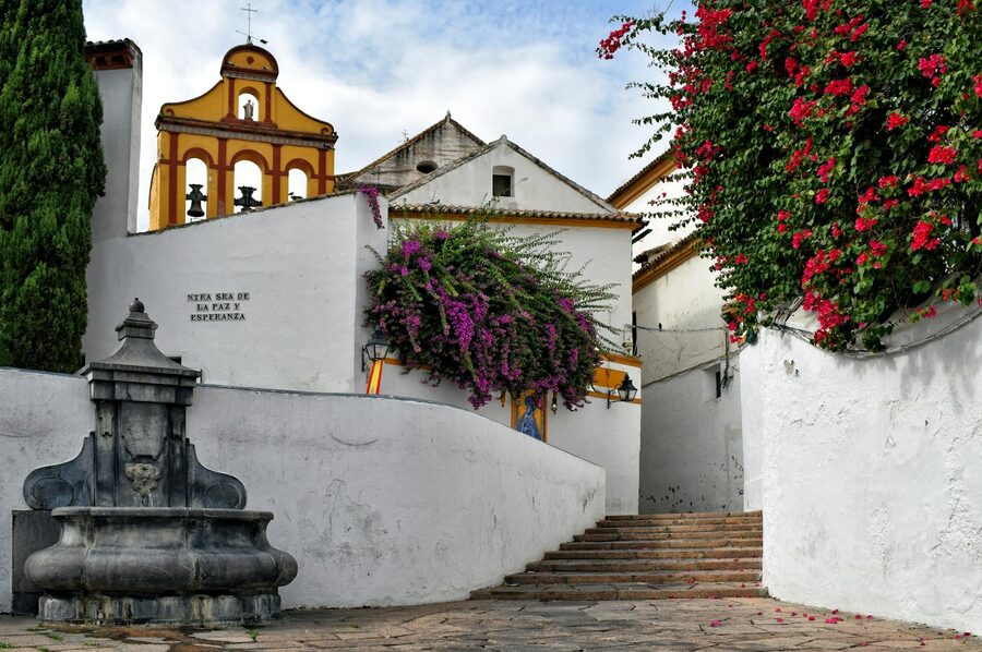 Bell tower visible through bougainvillea flowers in a Cordoba street