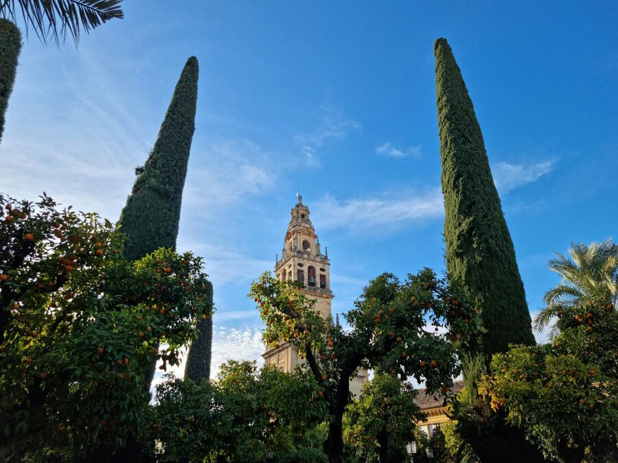 Bell tower of the Mosque-Cathedral of Cordoba framed by lush green trees