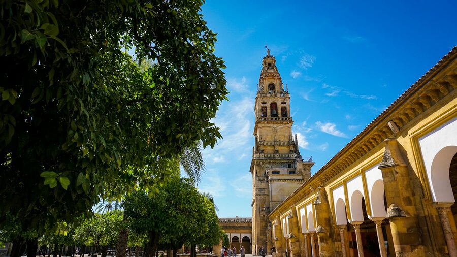 The bell tower of the Cordoba Mosque-Cathedral on a bright sunny day with surrounding trees