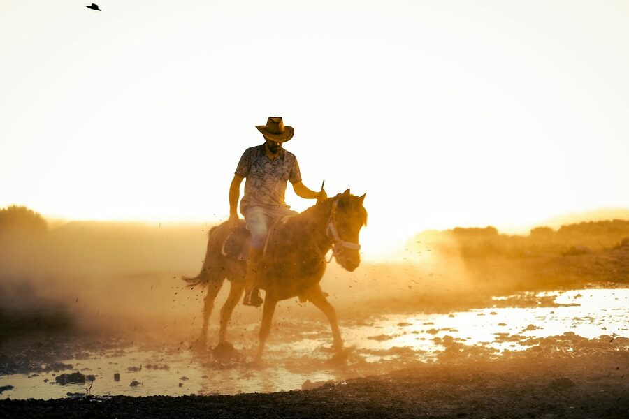Silhouette of cowboy on horseback during desert sunset