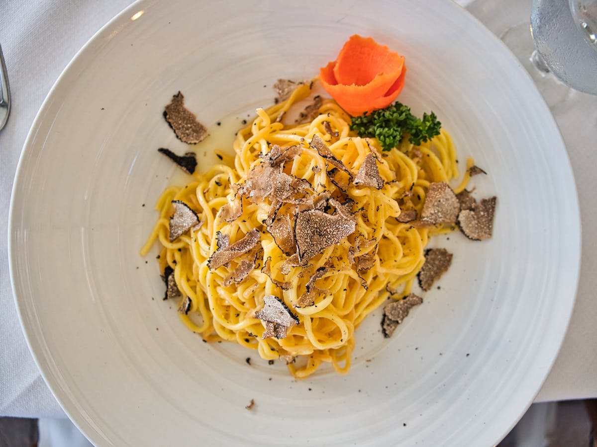 Gourmet pasta with truffle shavings on a white plate