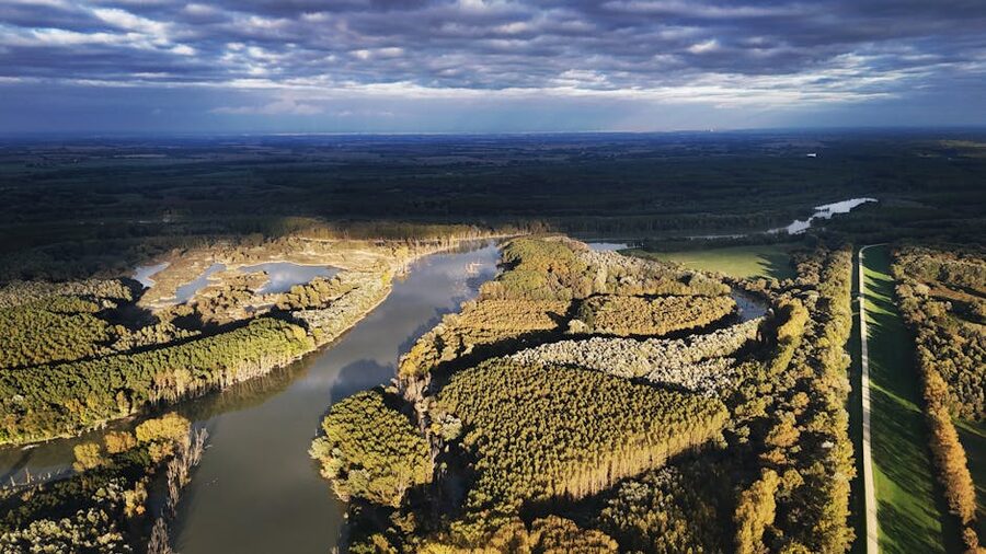 Aerial view of the Danube River bend through forests in autumn Hungary