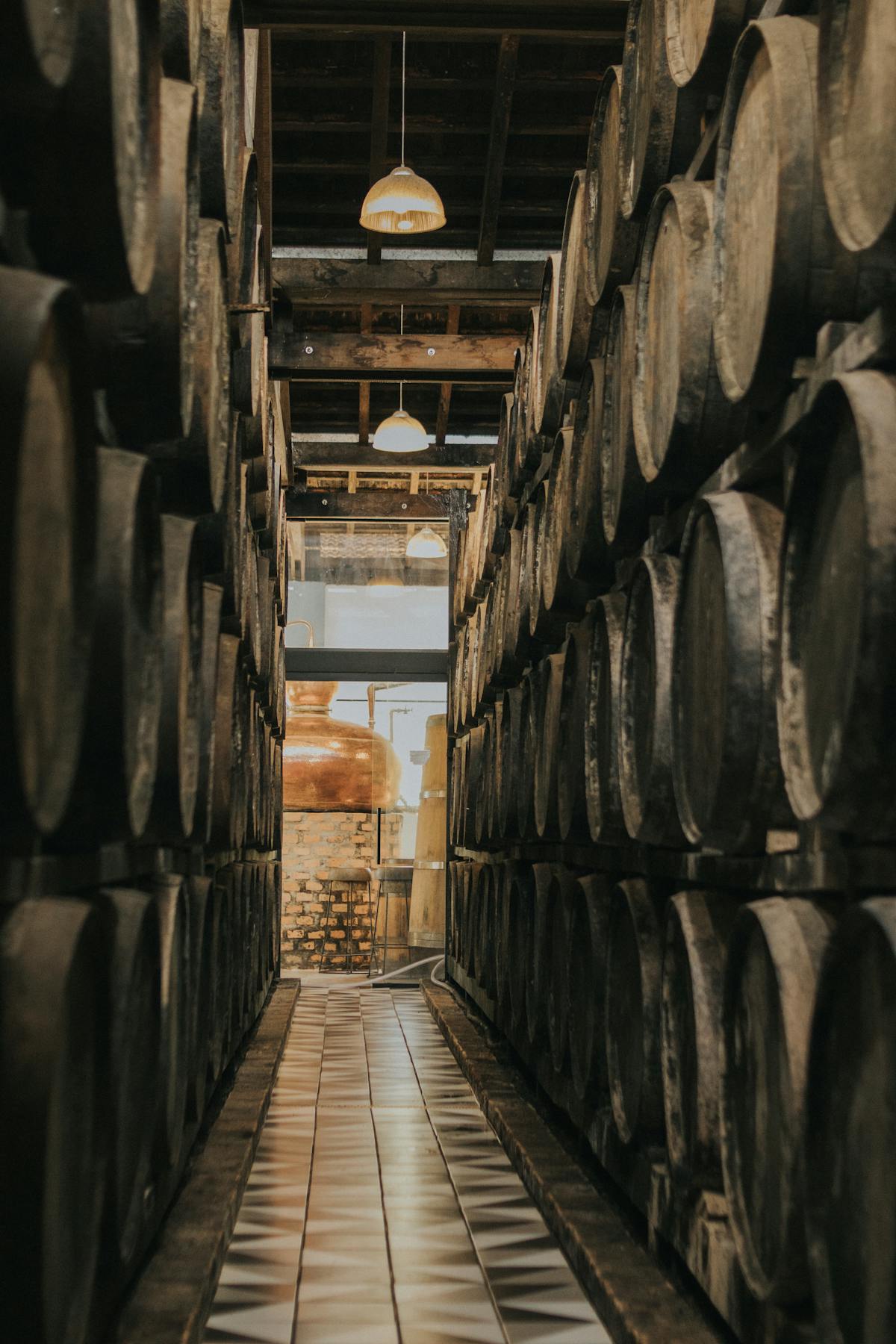 Oak barrels in a dark aging cellar