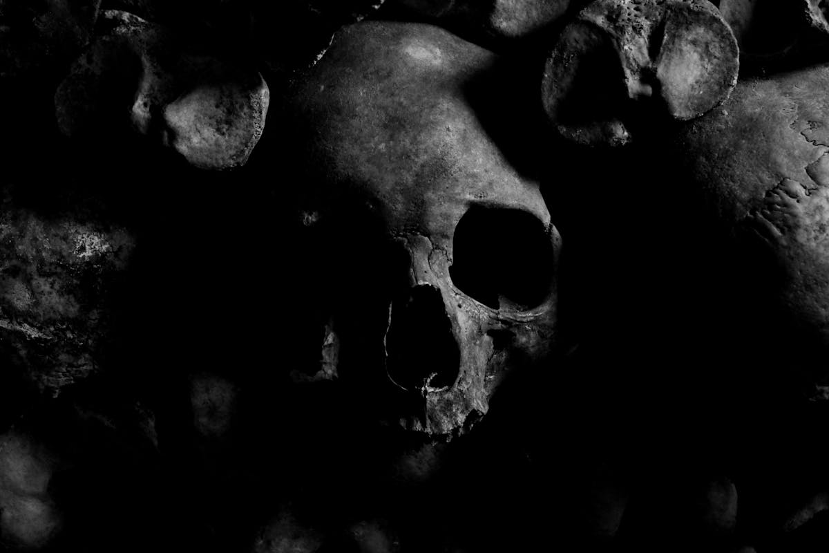 A single skull partially lit in the darkness of an underground catacomb