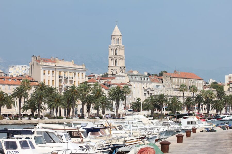 Split marina with palm trees and boats