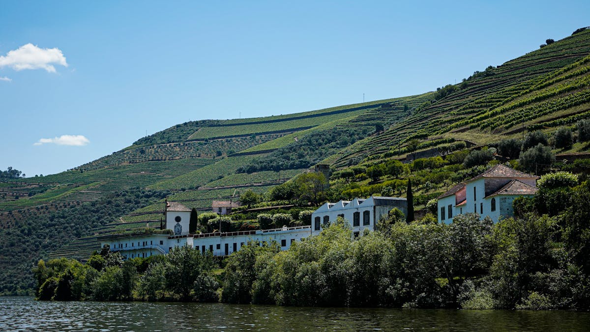 Terraced vineyards with traditional architecture in the Douro Valley, Portugal