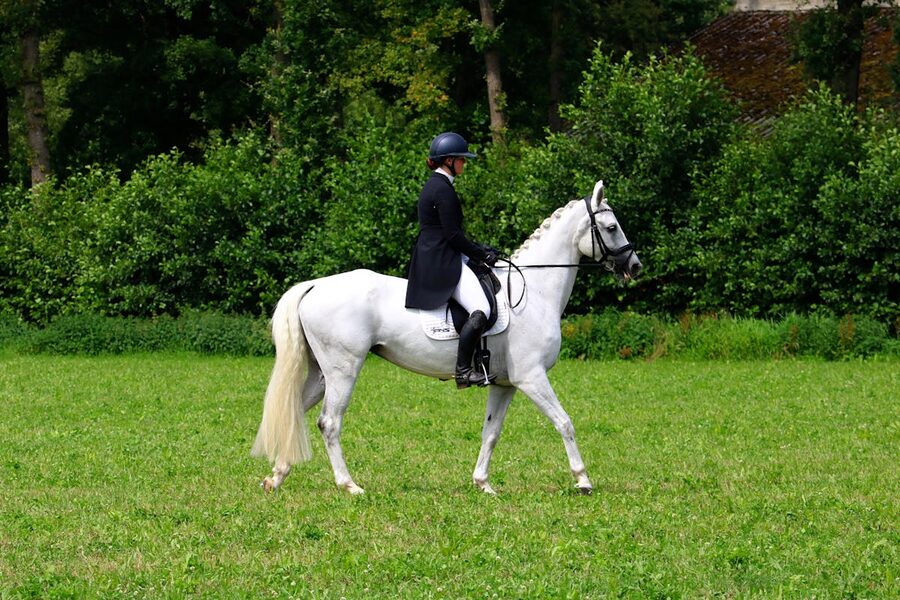 Skilled equestrian riding a white horse during a dressage event in a green setting