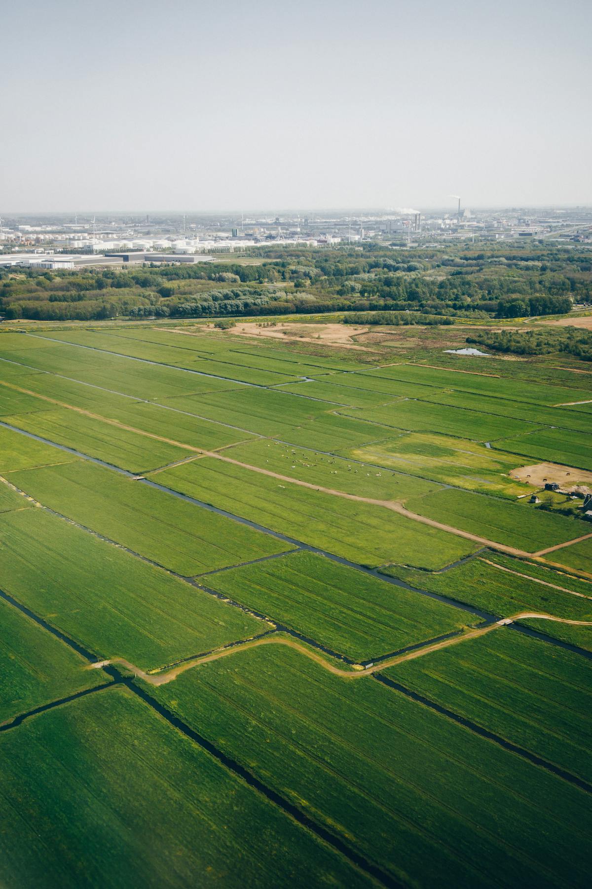 Aerial view of green Dutch farmland stretching to the horizon