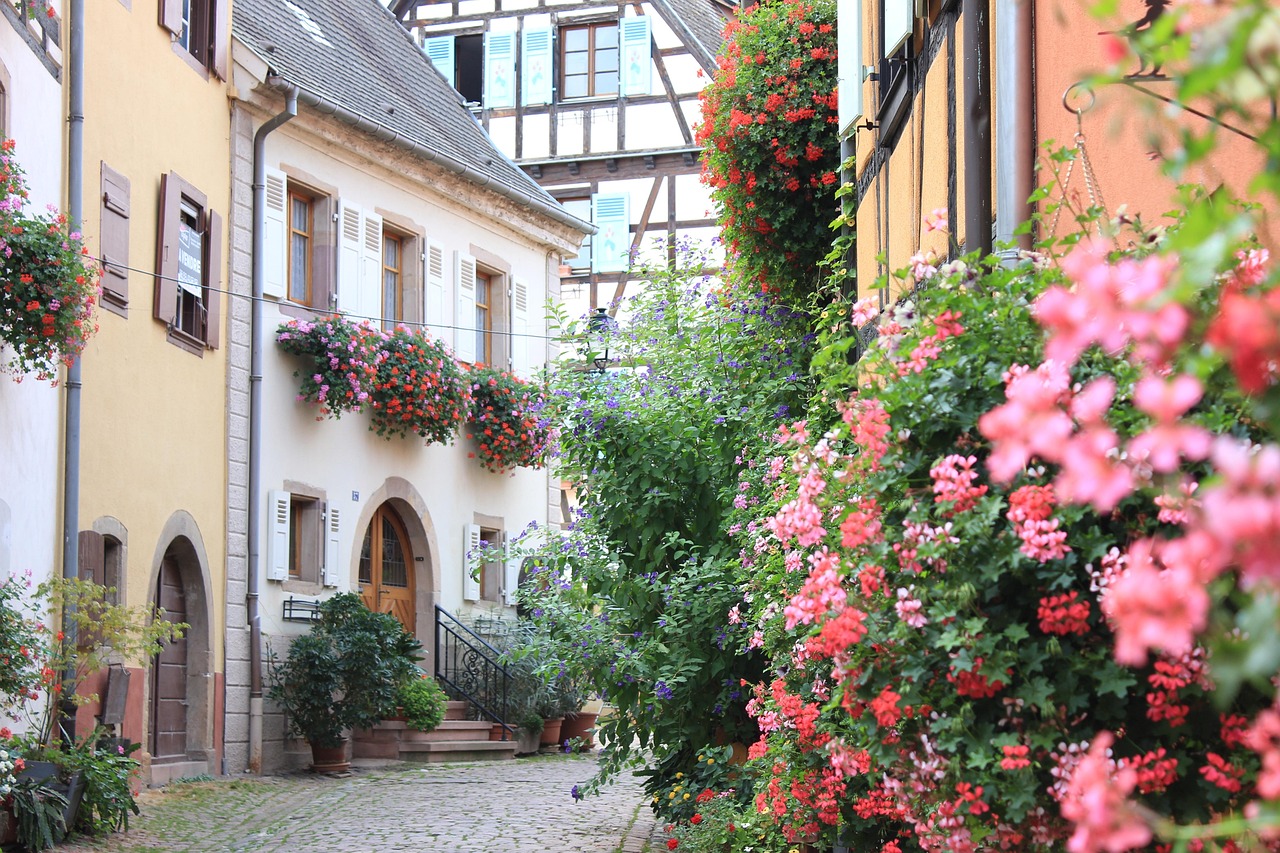 Colorful half-timbered houses with flower boxes in Eguisheim Alsace