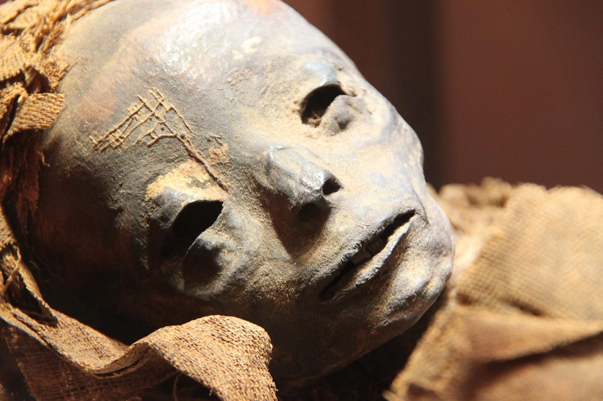 Egyptian mummy on display in museum