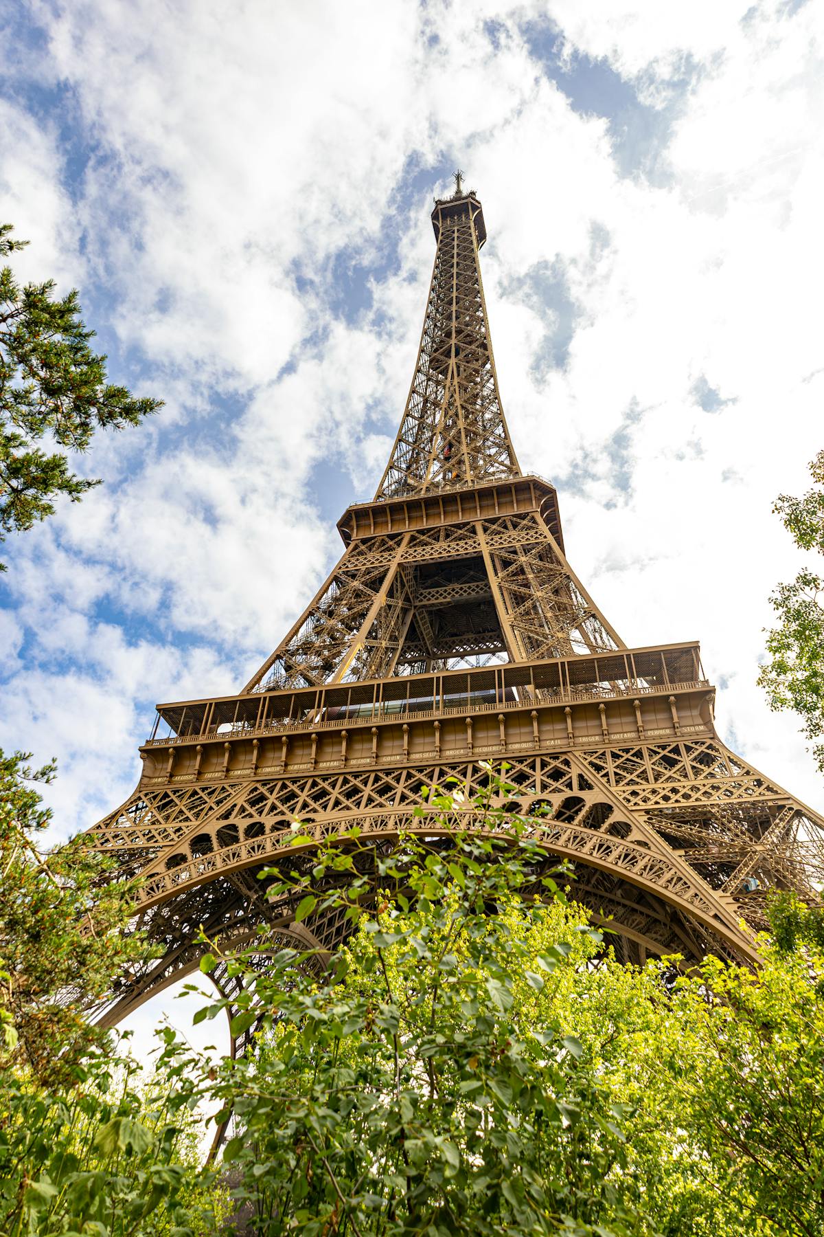 The Eiffel Tower rising above green trees on the Champ de Mars