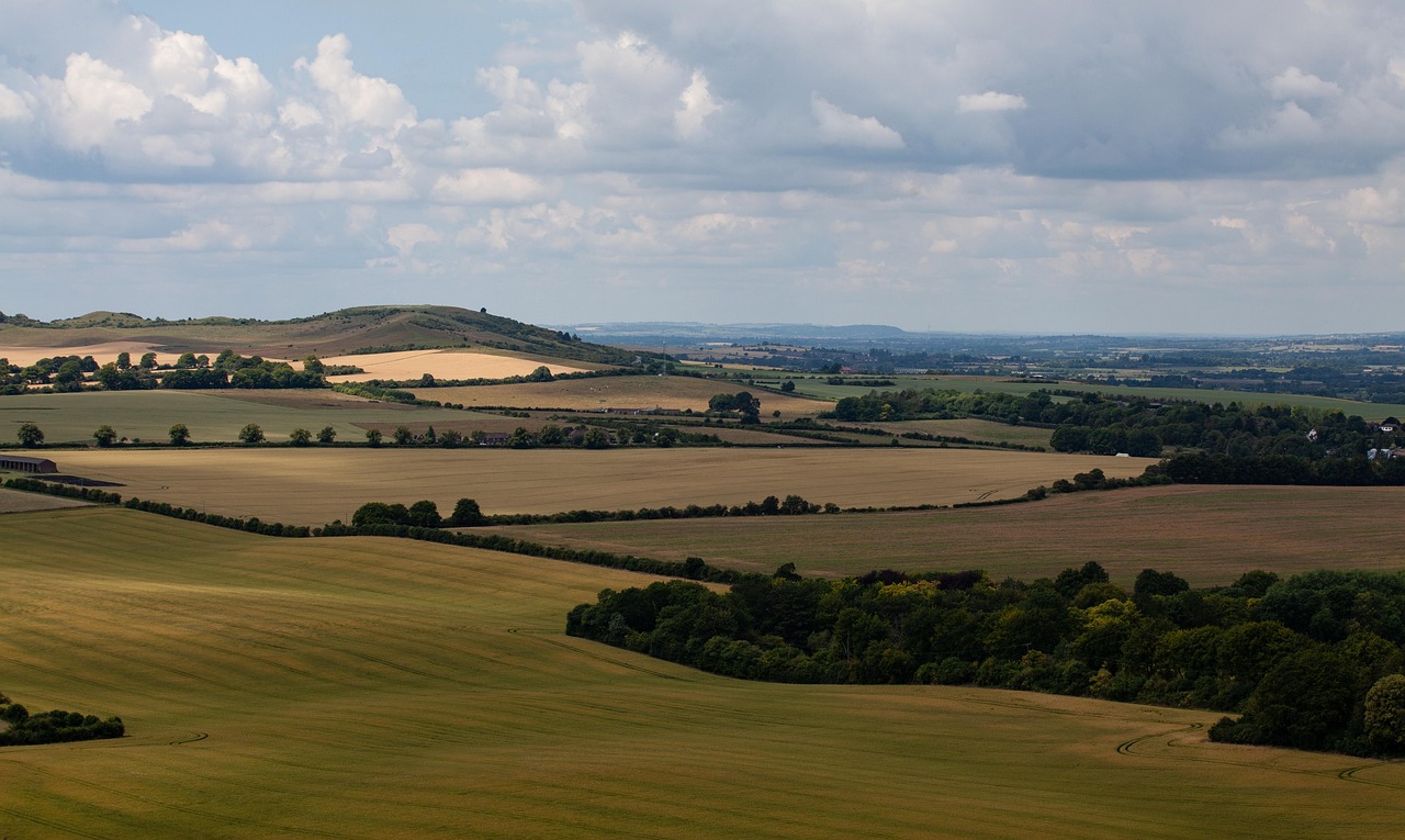 Rolling green hills in the English countryside
