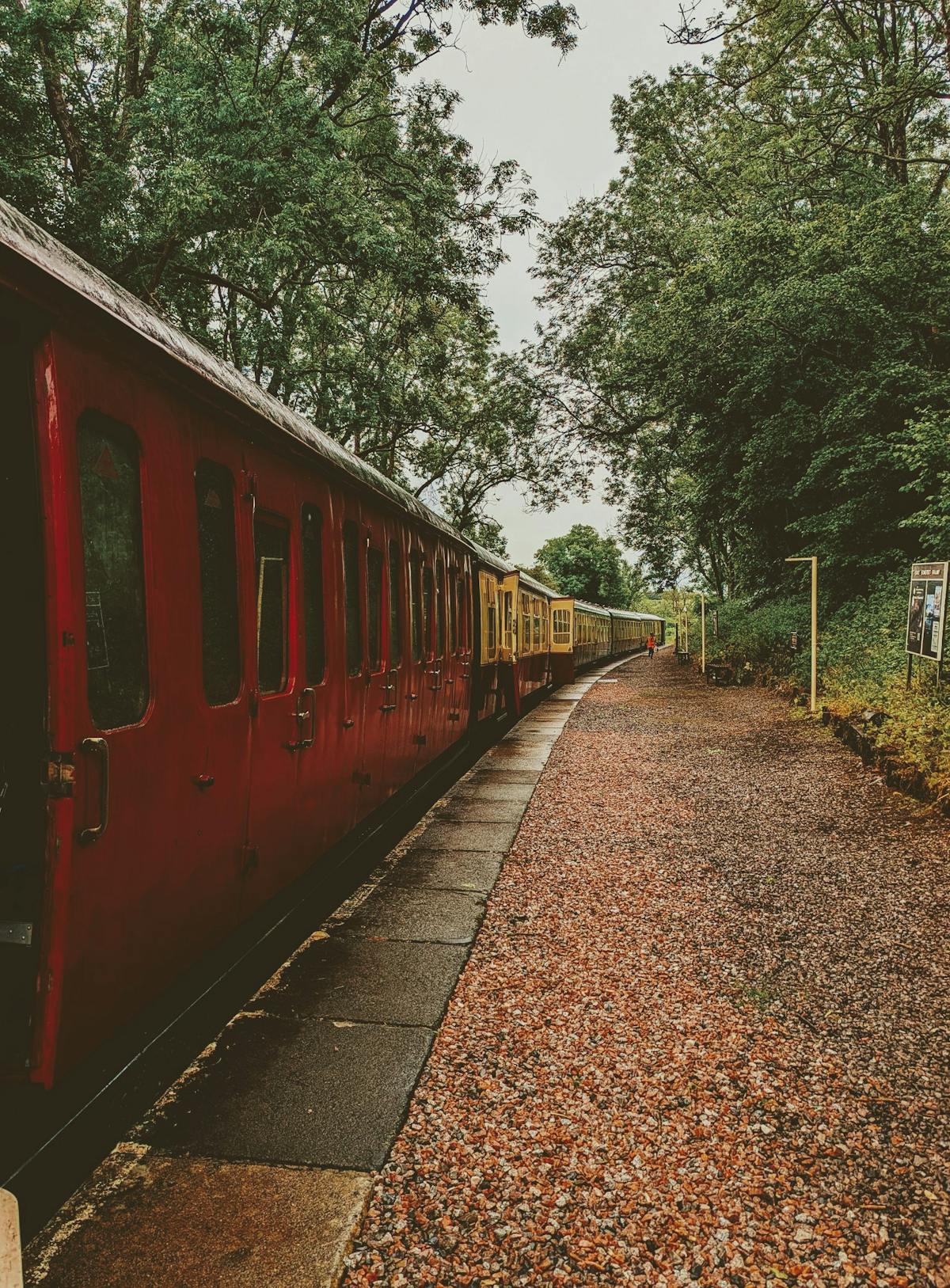 A colourful train travelling through the lush English countryside