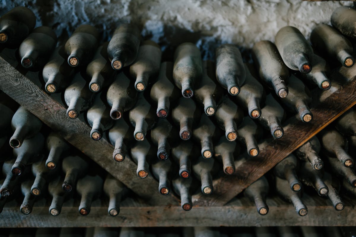 Dusty bottles of champagne placed in rows in a winery cellar viewed from above