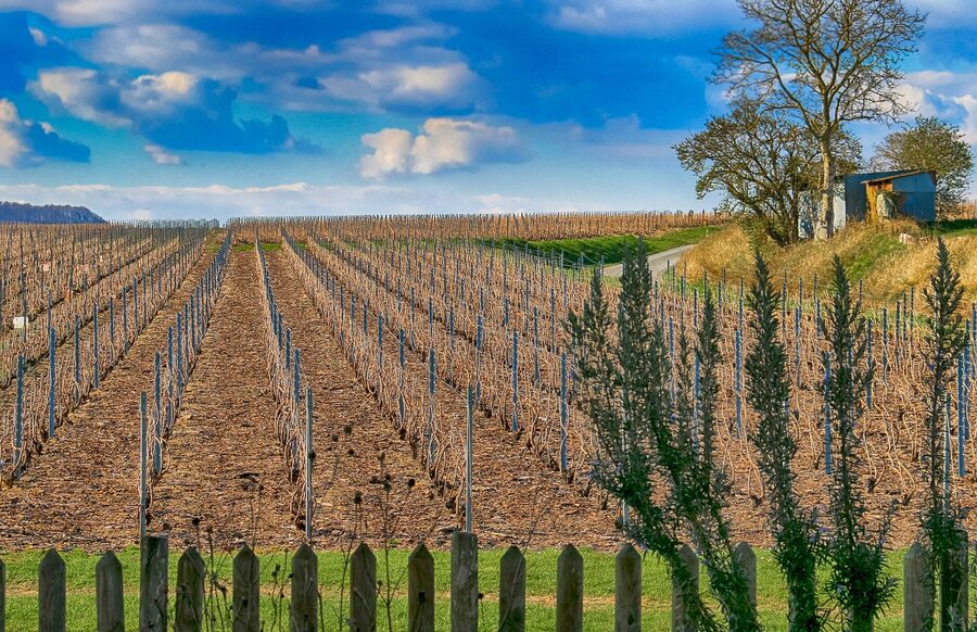 Landscape view of champagne vineyards with rolling hills near Epernay France