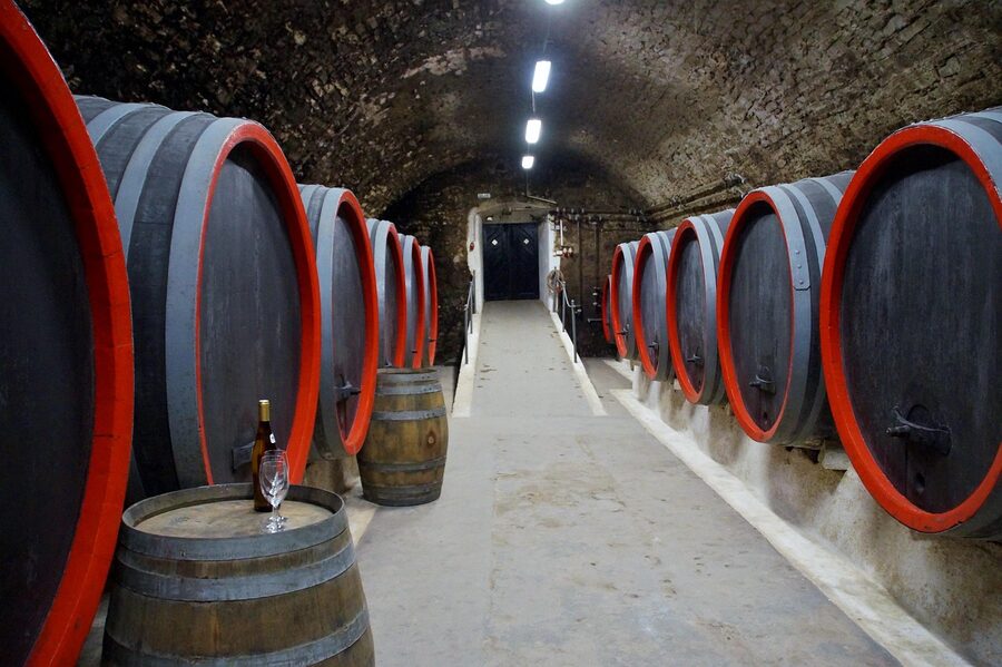 Large wooden wine barrels stored in rows in a cellar used for champagne production