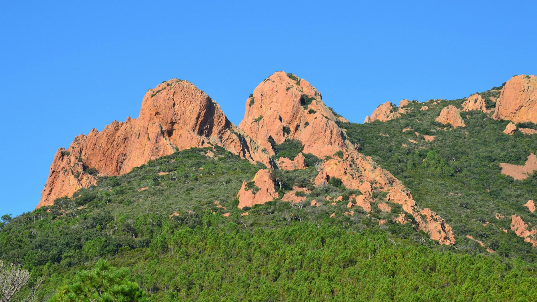 Blue sky above the Esterel mountain range with green forest and rocky peaks along the coast