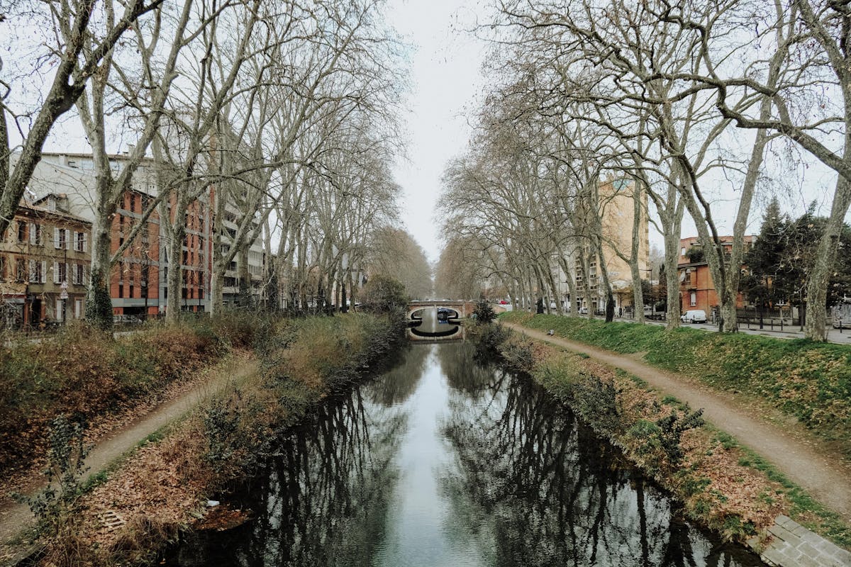Canal in Toulouse France framed by bare autumn trees with reflections