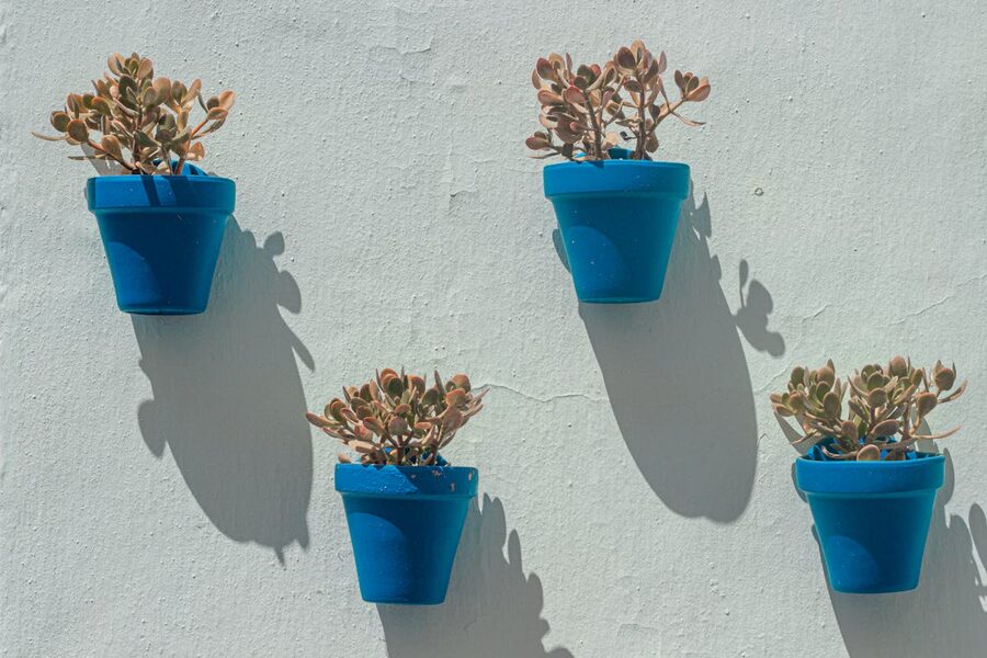 Decorative blue pots with green plants arranged against a white wall in Frigiliana Andalusia
