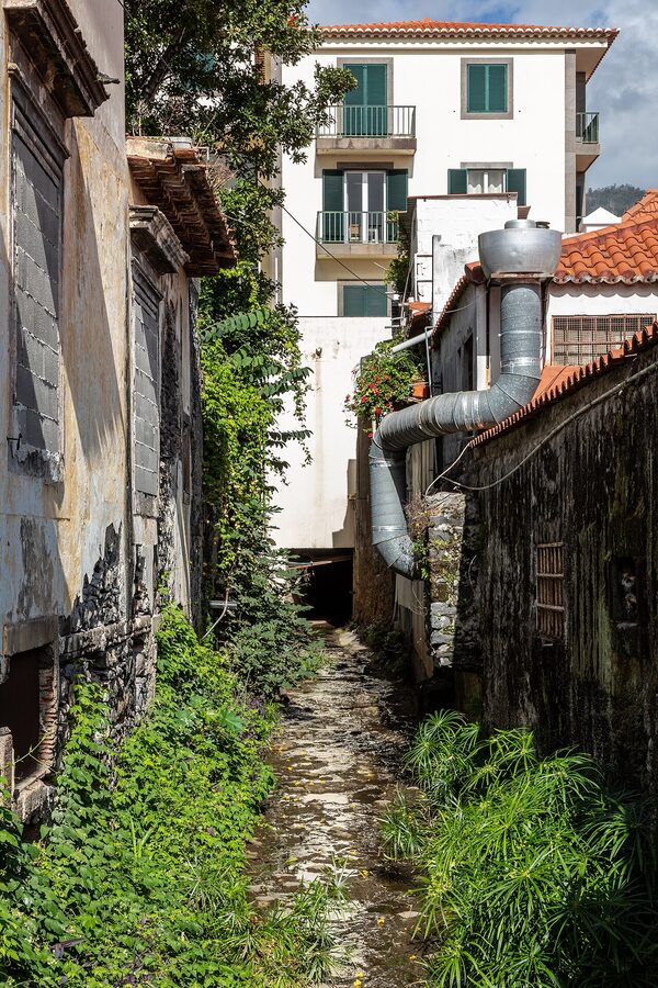 Rua de Santa Maria with painted doors and outdoor café tables in Funchal