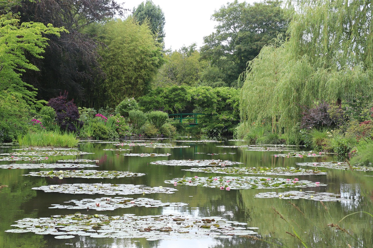 Nympheas water lilies at Giverny