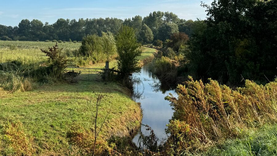 Country village scene