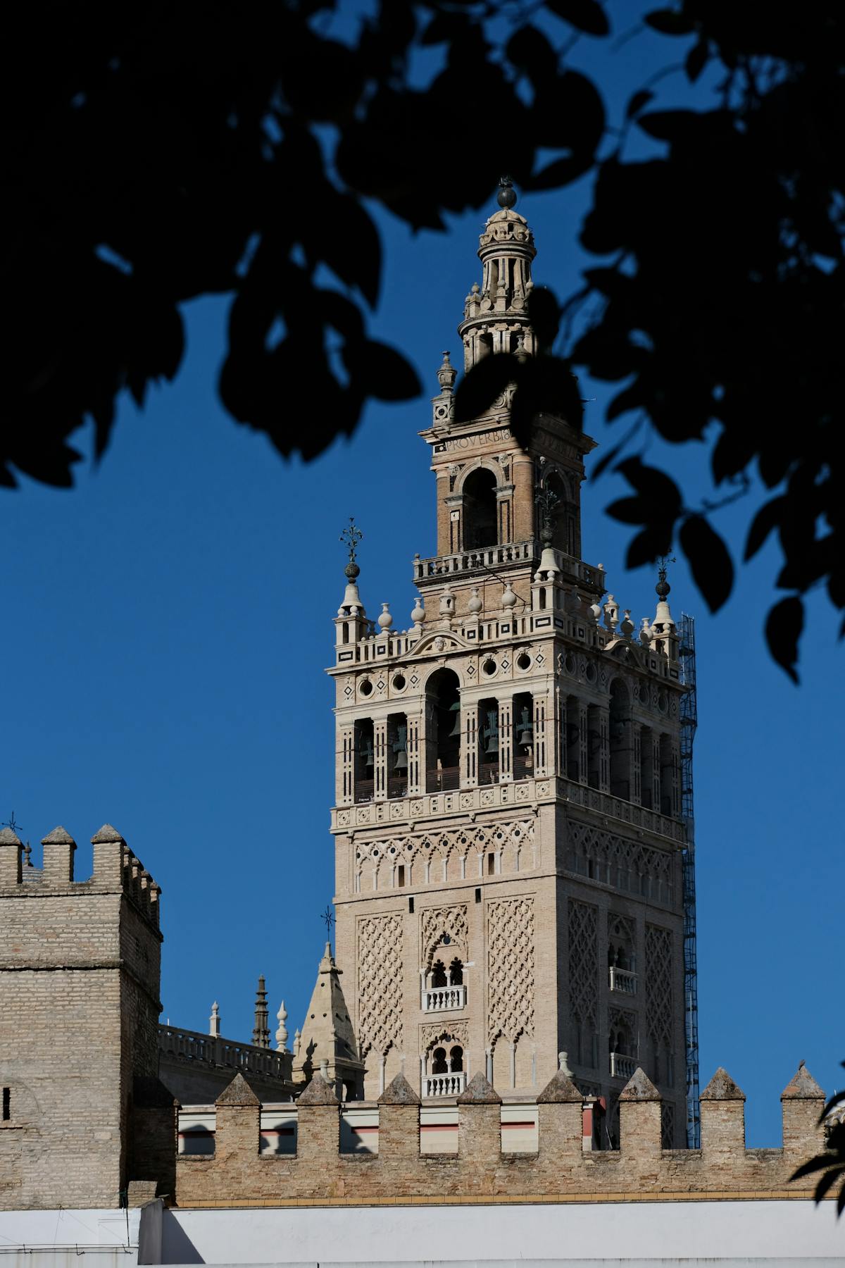 The Giralda tower silhouetted against a sunset sky in Seville