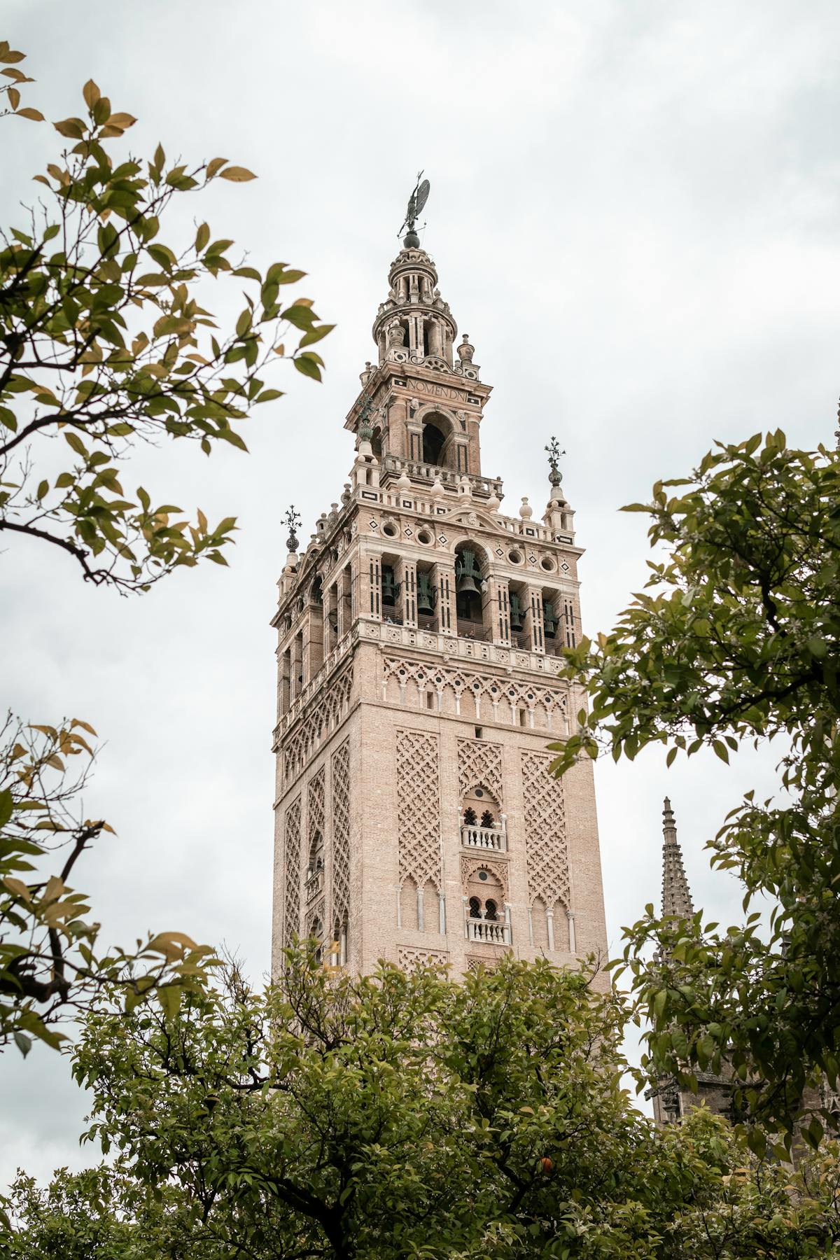 The Giralda bell tower rising above the Seville Cathedral and surrounding rooftops