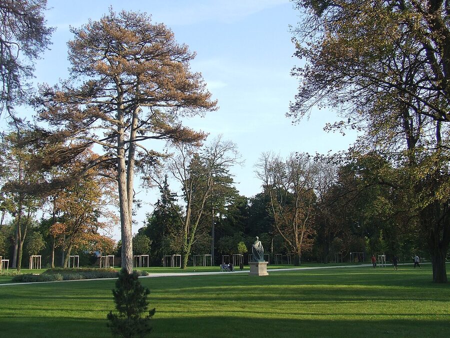 Tree-lined path through Gödöllő Palace park grounds
