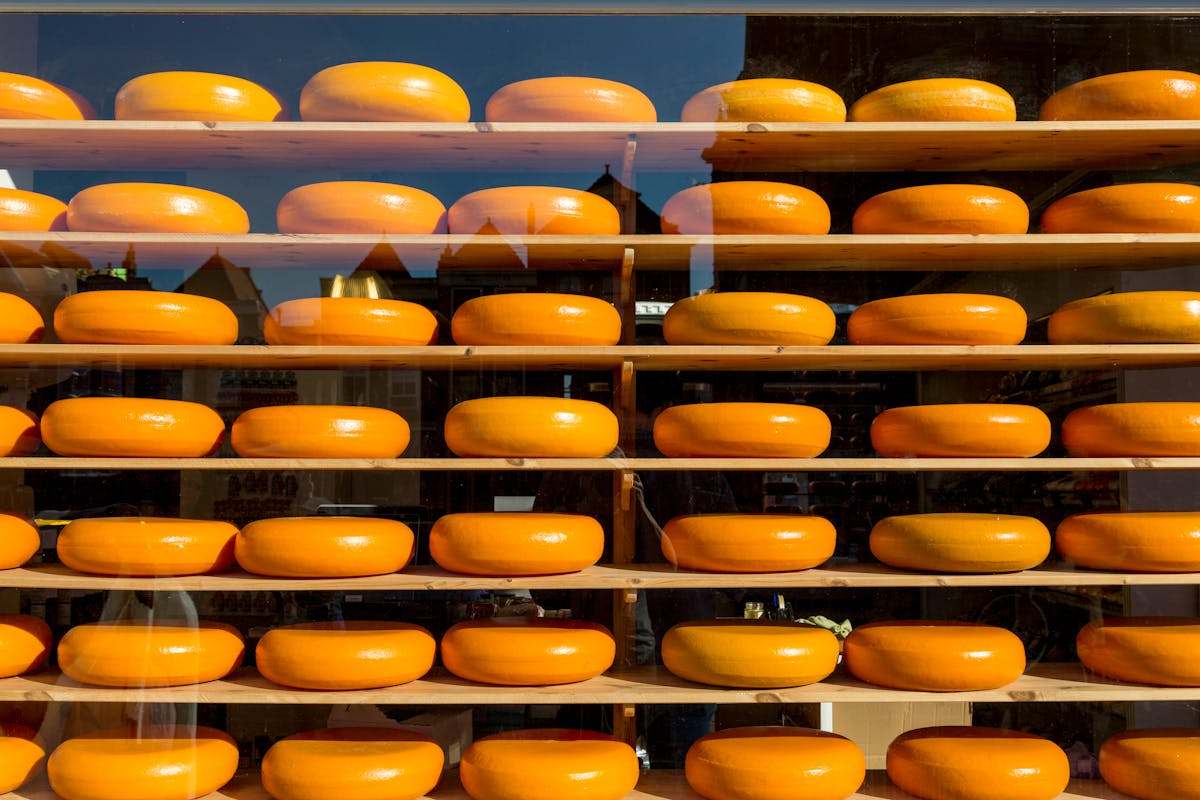 Wheels of Gouda cheese displayed in a shop window