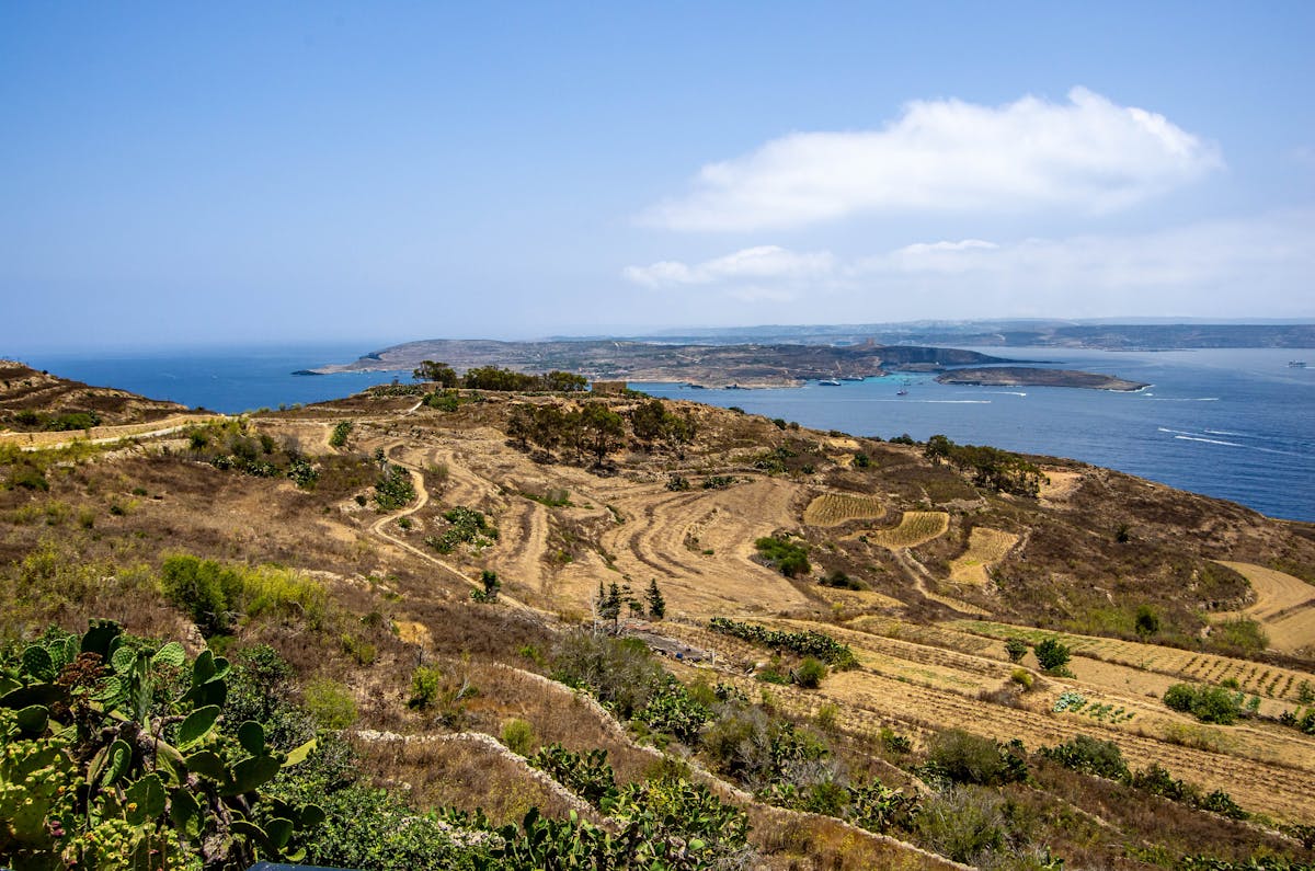 View of Malta coast and terraced fields under clear sky